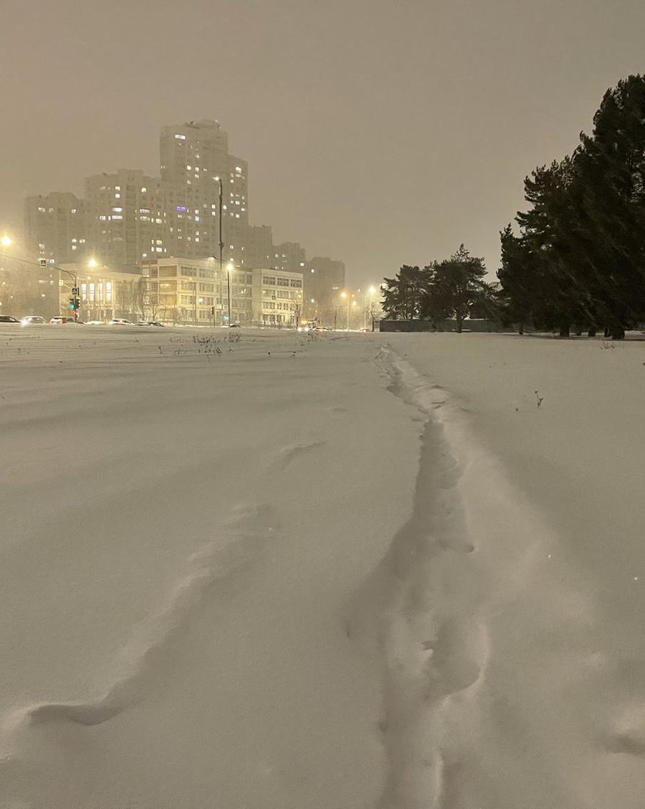 Москвичей предупредили об обильных снегопадах в ближайшие дни