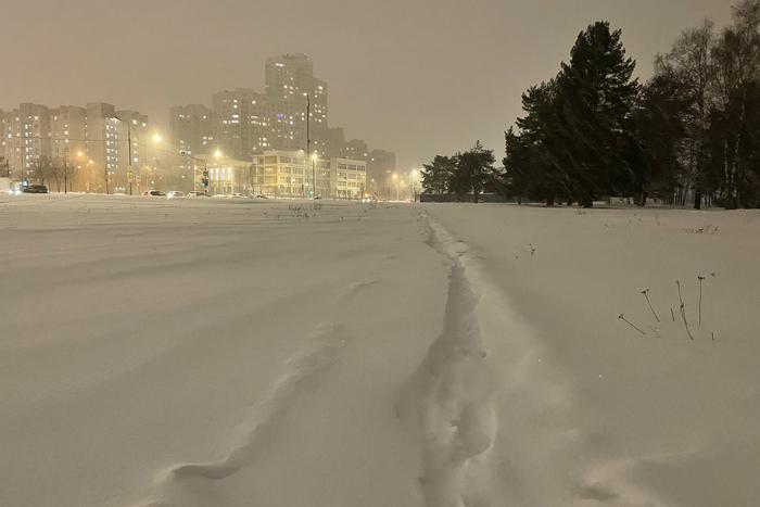 Москвичей предупредили об обильных снегопадах в ближайшие дни