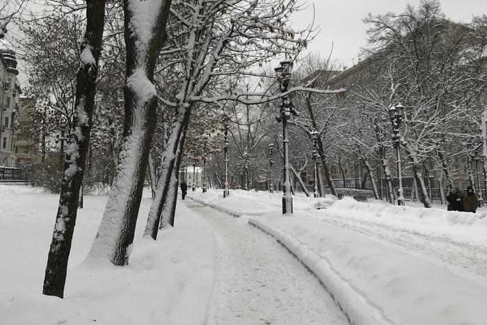 Москвичам и жителям Московской области рассказали о погоде во вторник