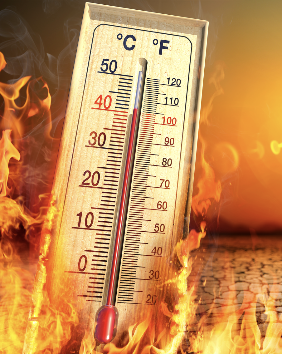 2024 год может стать самым жарким в истории: почему учёные бьют тревогу