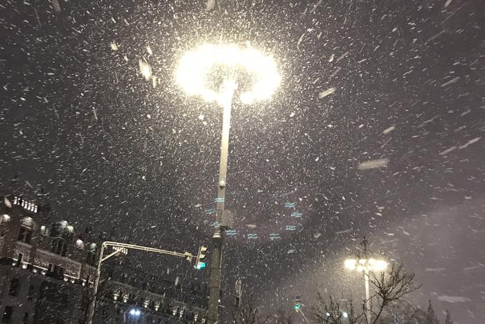 Москвичей предупредили о сильном ветре