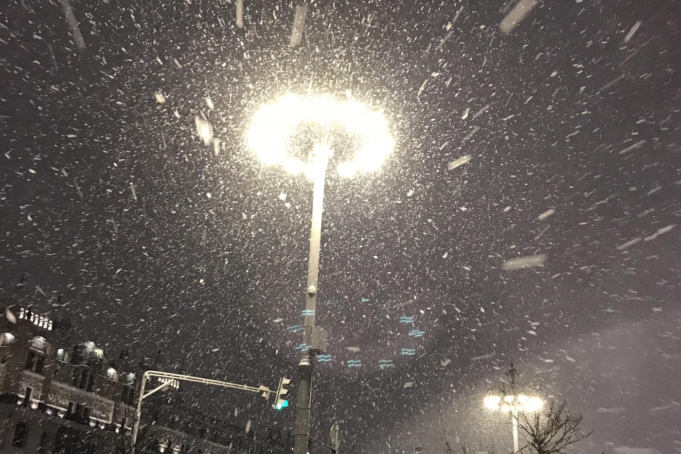 Москвичей предупредили о сильном ветре