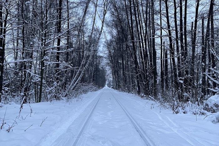 В Подмосковье ночью зафиксировали 25-градусные морозы