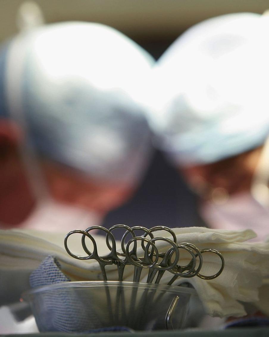 Учёные пересадили свиную печень мёртвому человеку: как это отразится на будущем трансплантологии