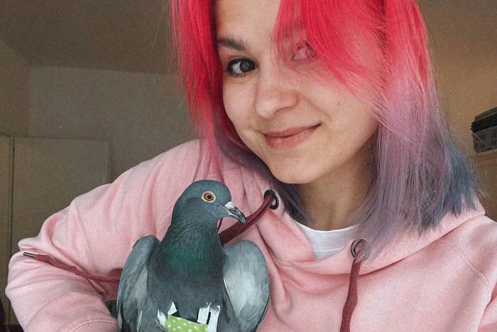 Голуби живут дома и даже носят трусы. Птицы в нижнем белье покорили Интернет