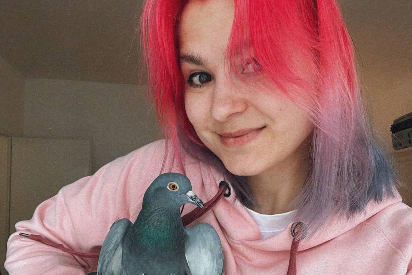 Голуби живут дома и даже носят трусы. Птицы в нижнем белье покорили Интернет