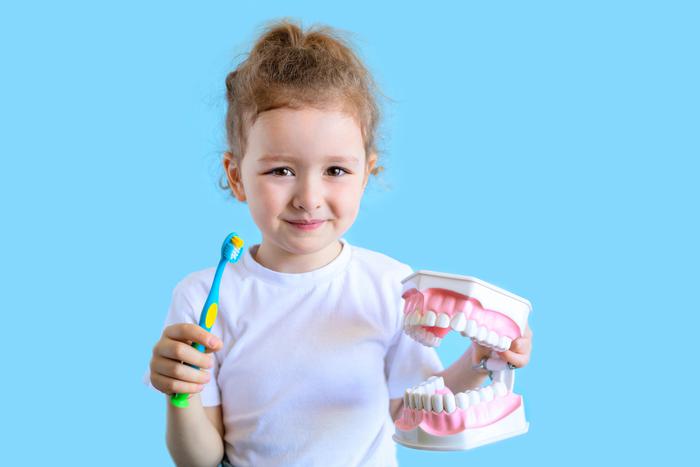 Почему чупа-чупсы – зло и есть ли корни у молочных зубов: на вопросы детей отвечают настоящие зубные феи