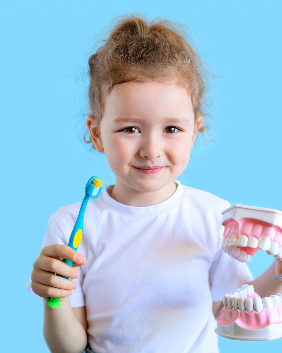 Почему чупа-чупсы – зло и есть ли корни у молочных зубов: на вопросы детей отвечают настоящие зубные феи