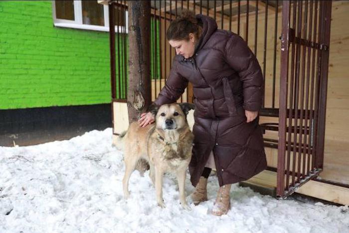 Всеобщий любимец подмосковного детского сада пёс Филя может получить официальную работу