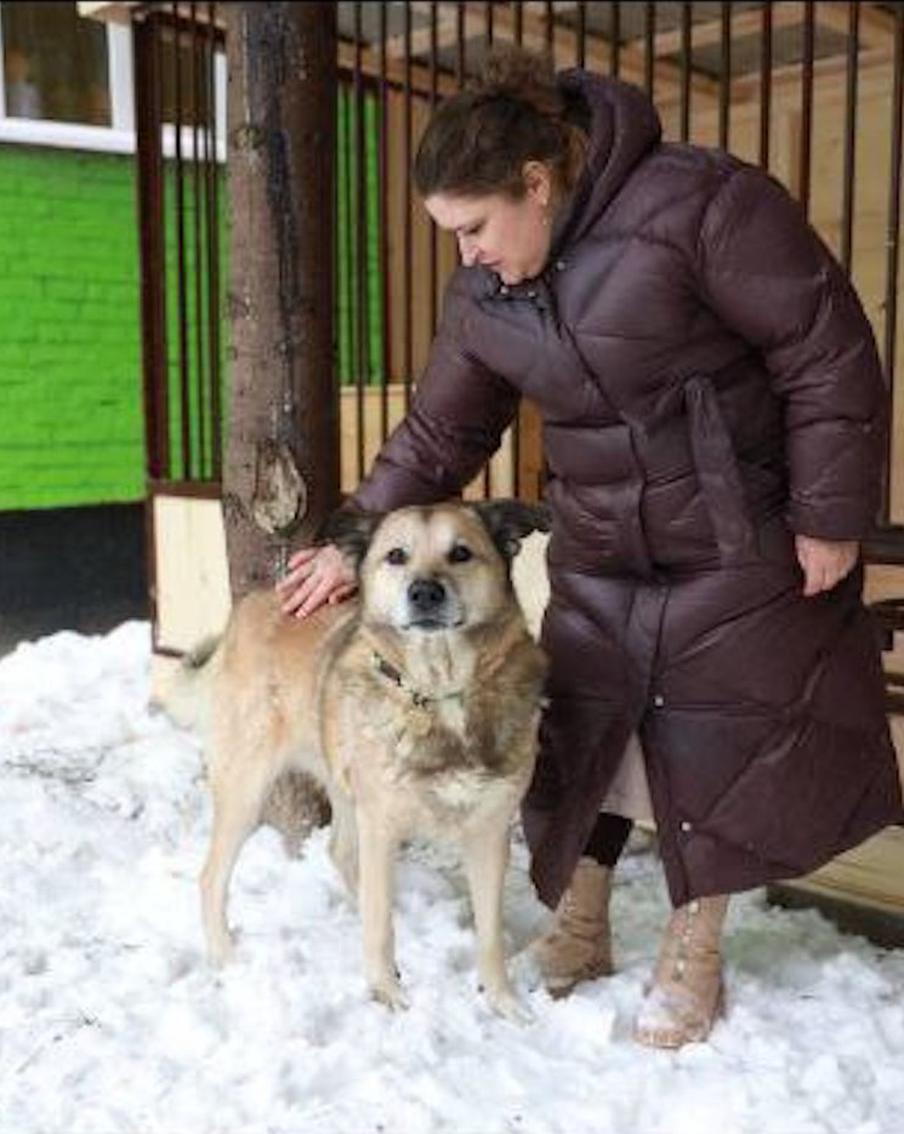 Всеобщий любимец подмосковного детского сада пёс Филя может получить официальную работу