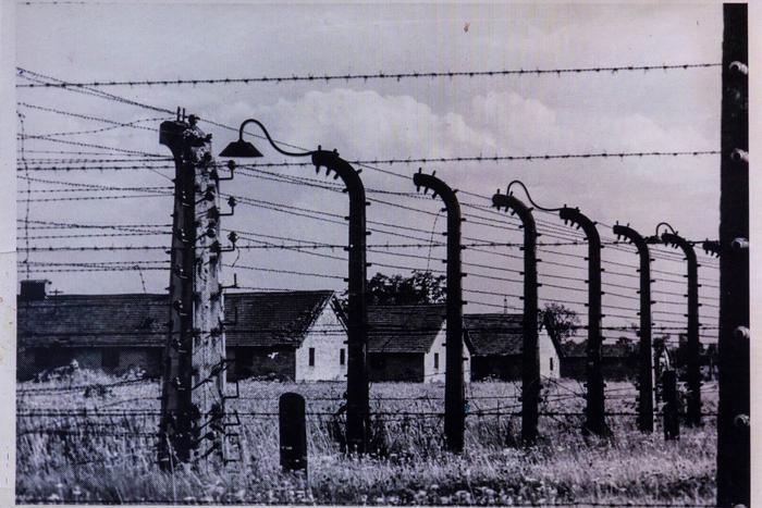 Вещи узников хранят память о жертвах холокоста: в Музее Победы открылась новая выставка