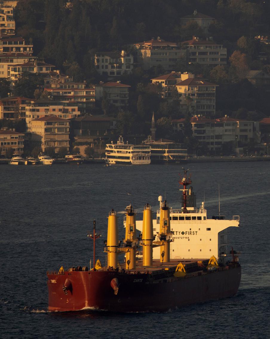 Турция сохранила запрет на допуск военных кораблей в Чёрное море