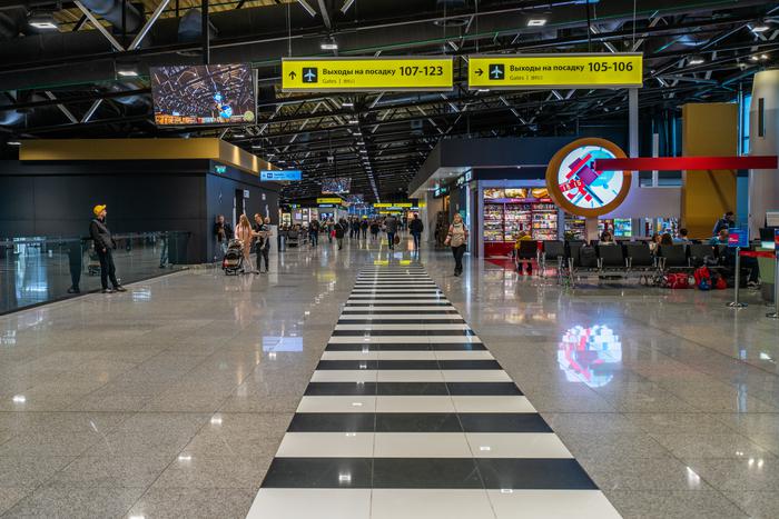 В Шереметьево у пассажира из ручной клади изъяли гранату, её оперативно обезвредили специалисты