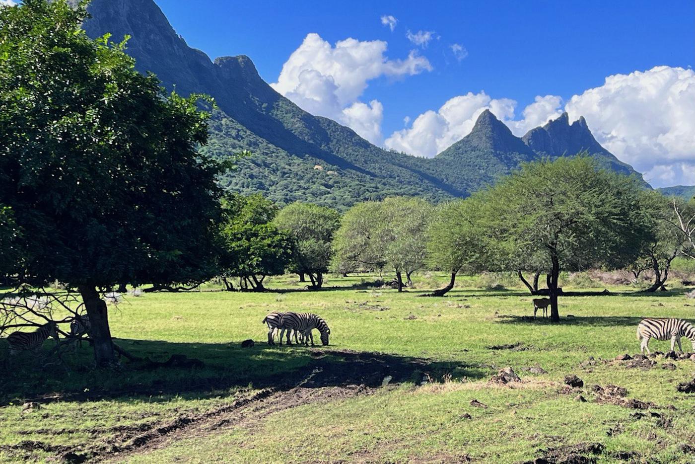 Красоты Маврикия.