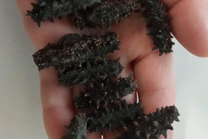 Шереметьевские таможенники перехитрили "огуречную ОПГ"