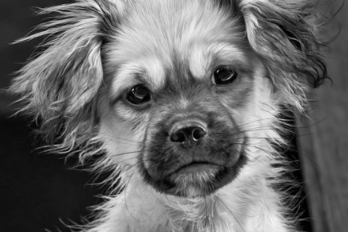 Подведены итоги фотоконкурса reFocus Awards. Смотрите, кто стал победителем!