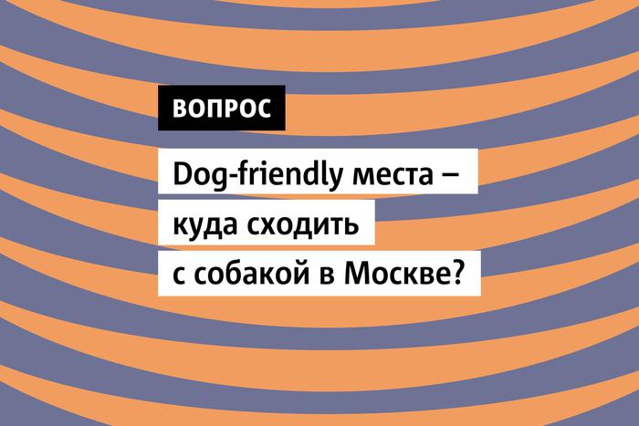В городе нет недостатка в локациях куда можно пойти с собакой!
