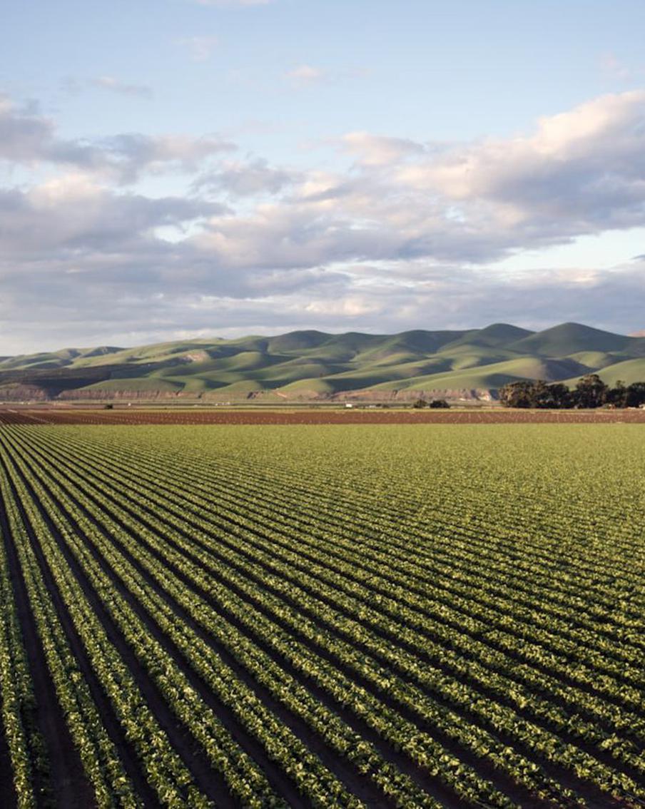 Сбор дождевой воды и сельское хозяйство в "цифре": эксперты рассказали как облегчить работу фермерам