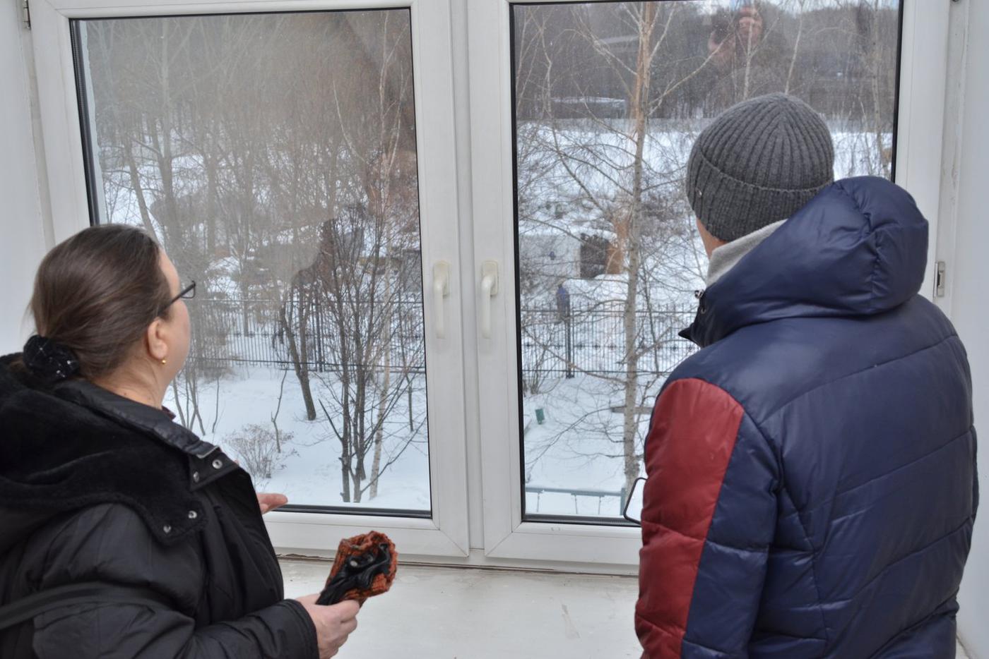 Из окон подъезда видны оранжереи Нескучного сада.