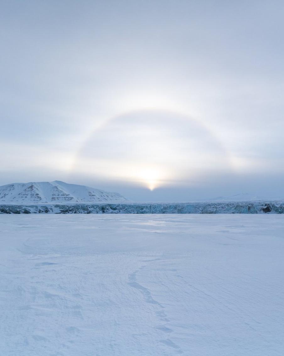 Россия может выйти из Арктического совета: что это означает