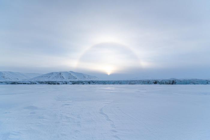 Россия может выйти из Арктического совета: что это означает