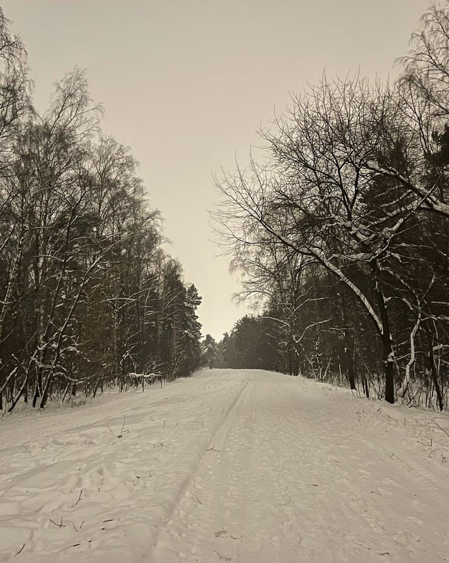 Жителей столичного региона предупредили о морозах в выходные