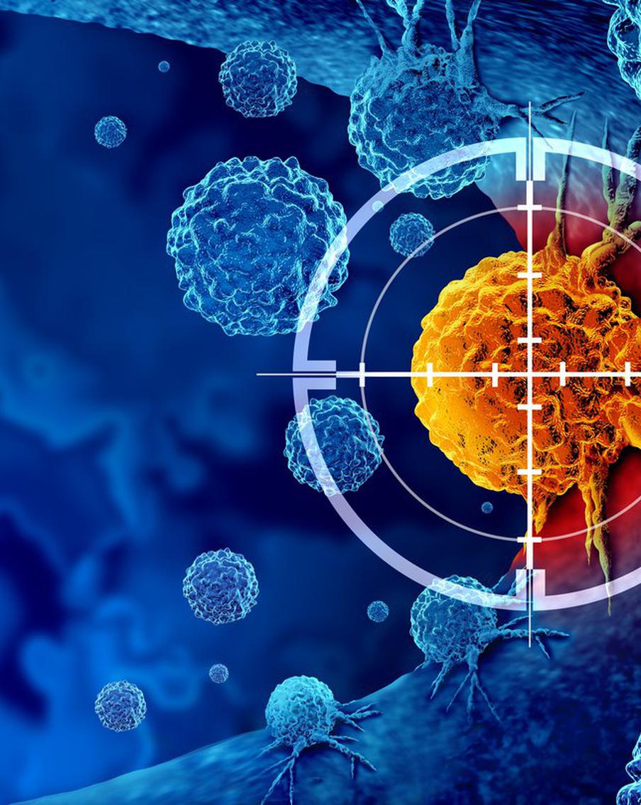 Большой шаг к победе над раком: сибирские учёные изучили способ замедления развития опухолей