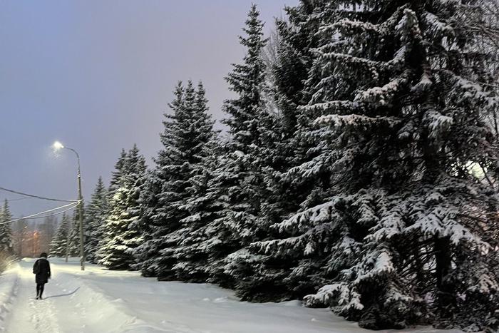 Москвичам и жителям Подмосковья рассказали о погоде в эту пятницу