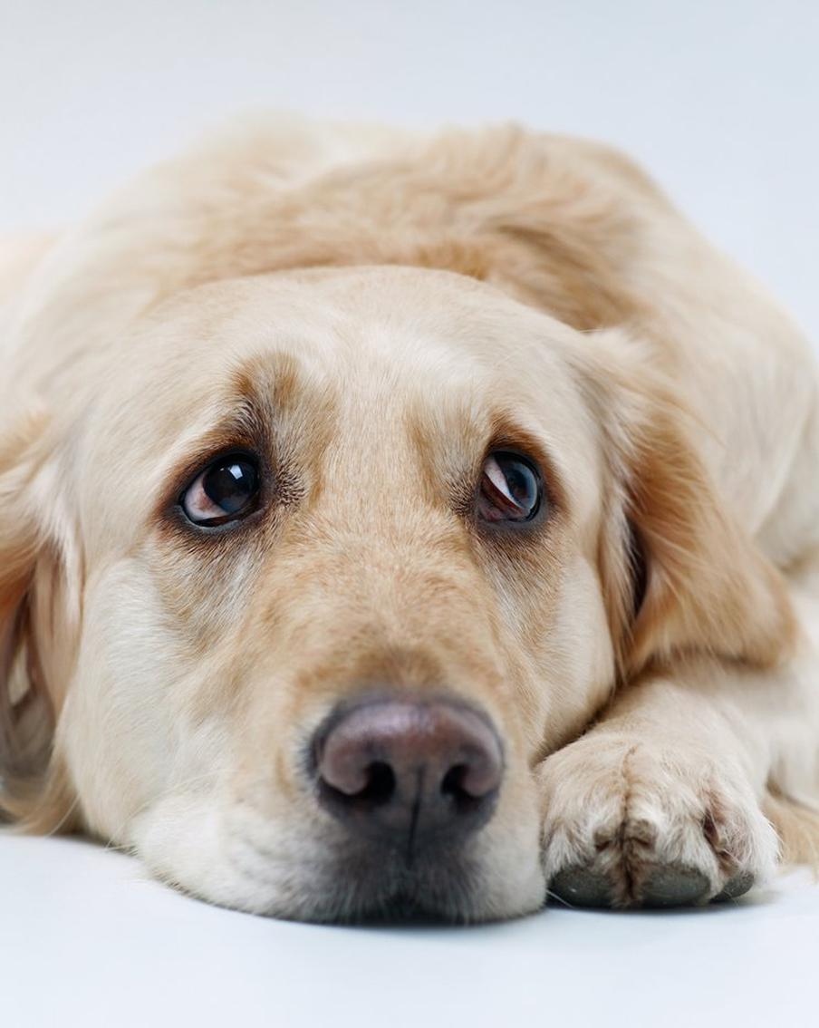 Как легко уйти с нелюбимой работы и быстро найти новую: топ-лайфхаки от HR-эксперта