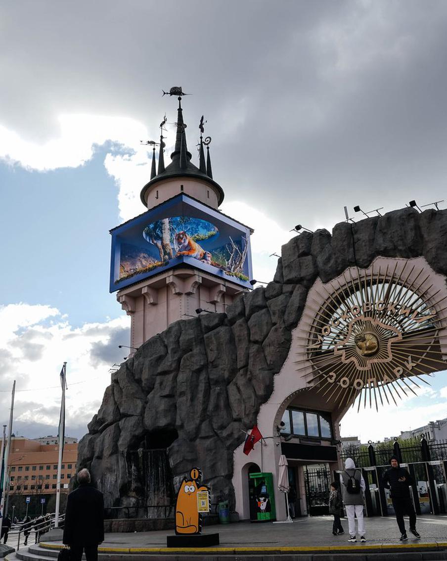 В Московском зоопарке рождается всё больше малышей: от амурских тигров до манулов