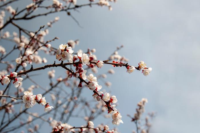 Потепление придёт в Москву только в конце марта, а по-настоящему весенние температуры ожидаются в апреле