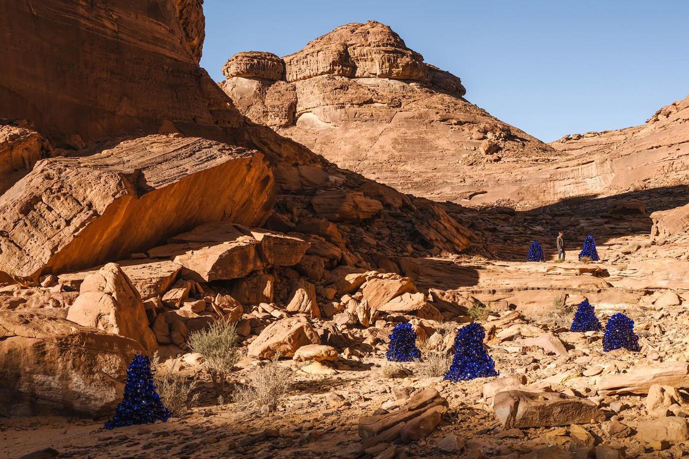 Неопознанные растения, которые так никто никогда и не опознает.