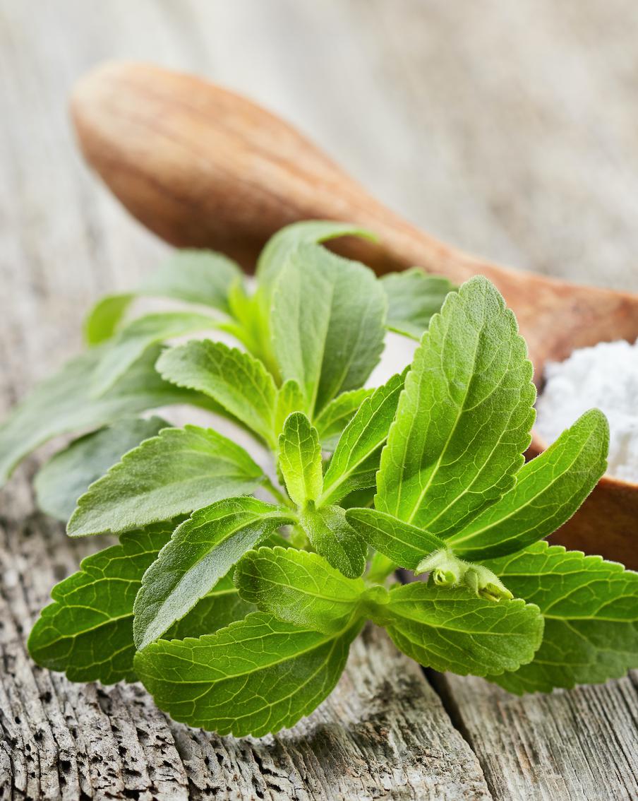 Что делать диабетикам после запрета добавок из стевии