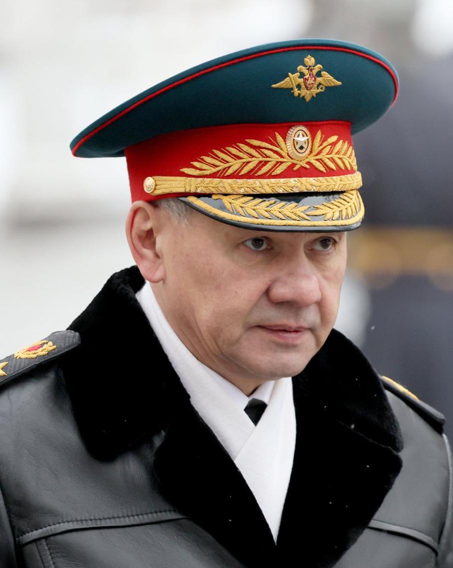 Шойгу рассказал о ежедневных потерях ВСУ