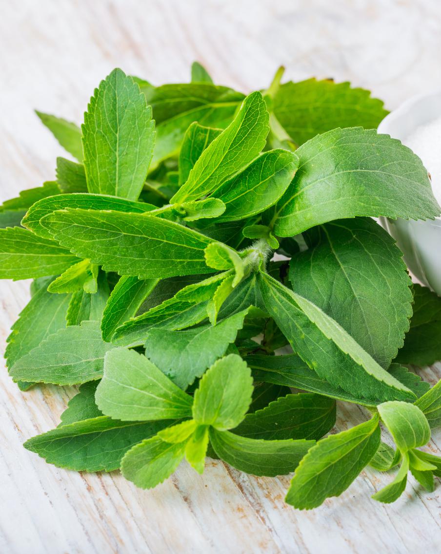 Роскачество отреагировало на новость о "недоступности стевии" для диабетиков