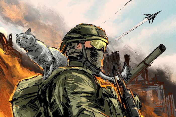 Боец СВО забрал домой Кошку, которая родила котят в блиндаже под обстрелами