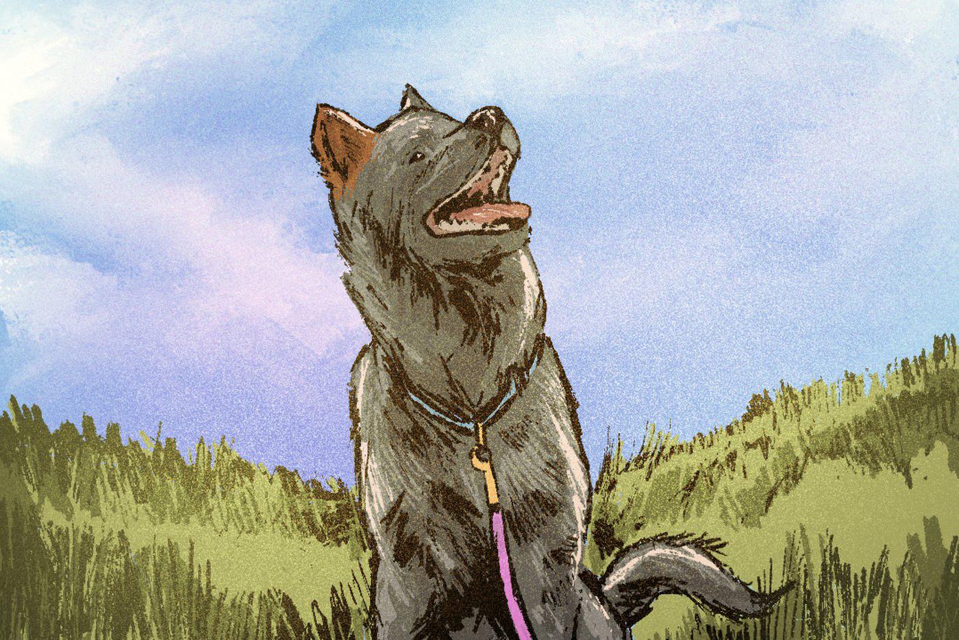 Совместными добрыми делами вымощена дорога... в ЗАГС