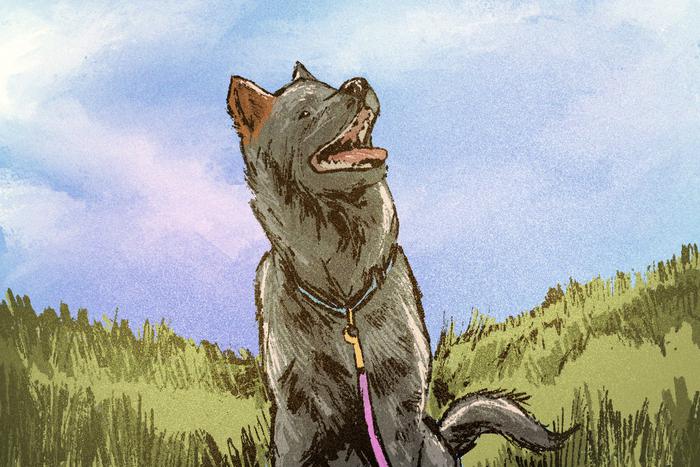 Совместными добрыми делами вымощена дорога... в ЗАГС