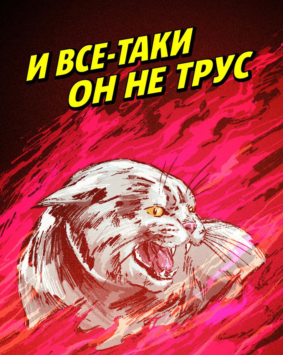 Графическая новелла. Кот по кличке Трус из Орловской области спас семерых котят из горящего приюта. 