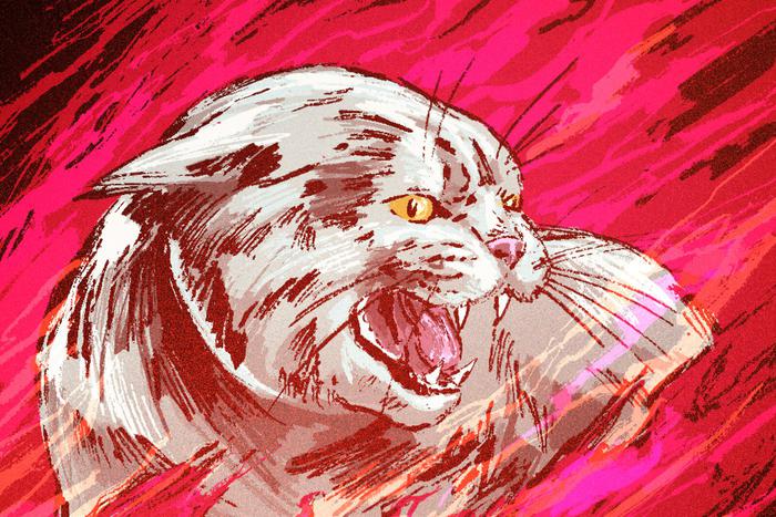 "А ещё говорят, что у животных нет души": как орловский кот семерых спас из огня