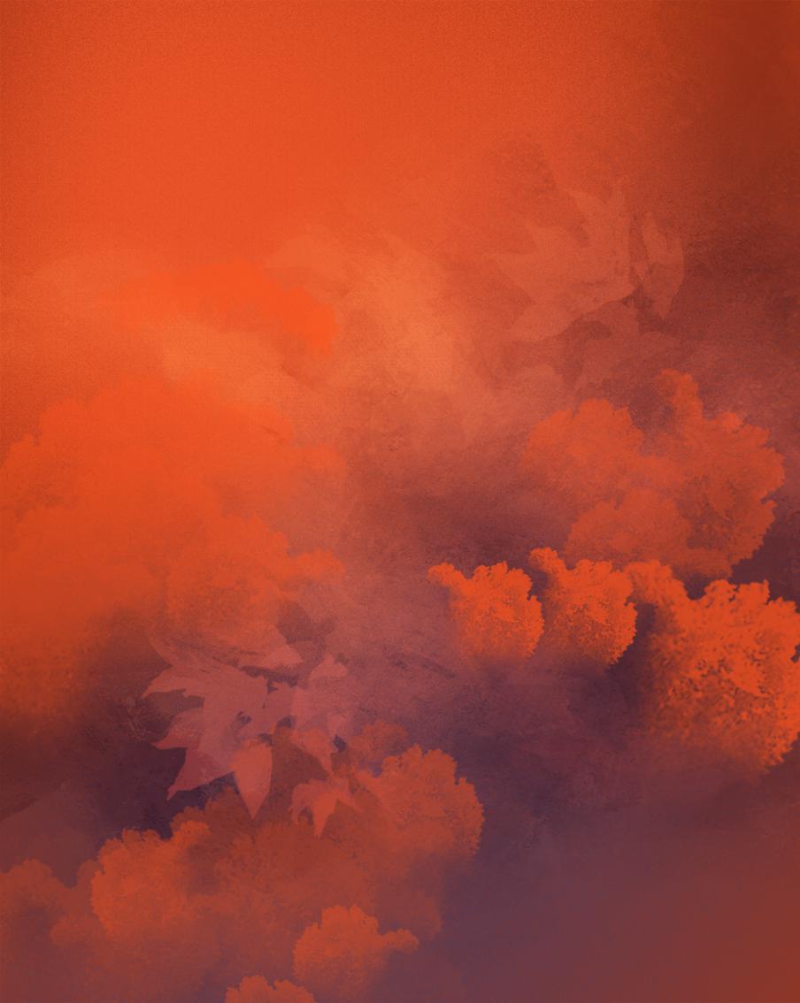 Хорошие дела в сентябре. 