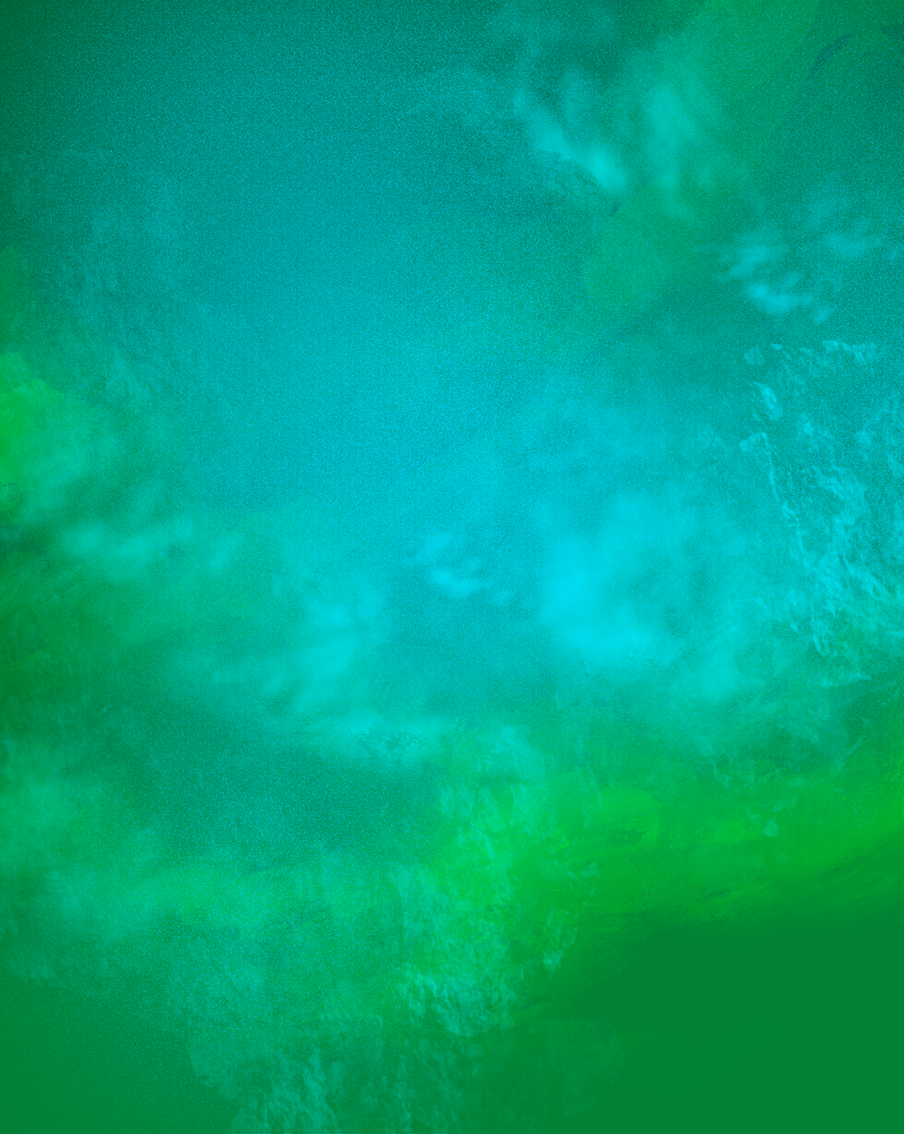 Хорошие дела в августе. 