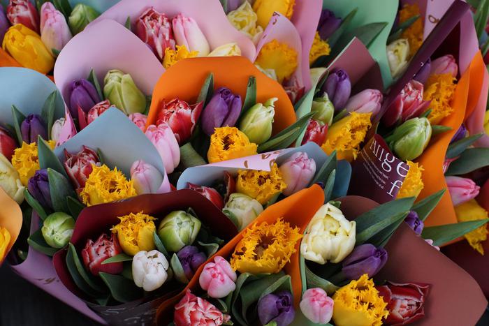 Не бойтесь, жёлтые тюльпаны – это совсем не вестники разлуки