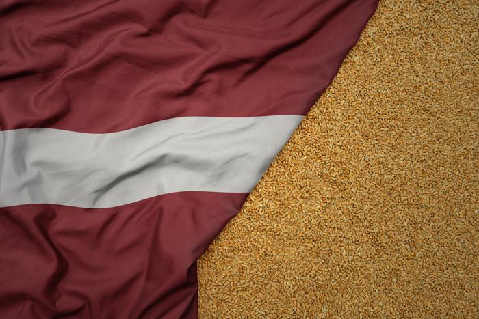 Латвия вводит запрет на ввоз товаров из России и Белоруссии. От каких товаров откажется страна с 8 марта?