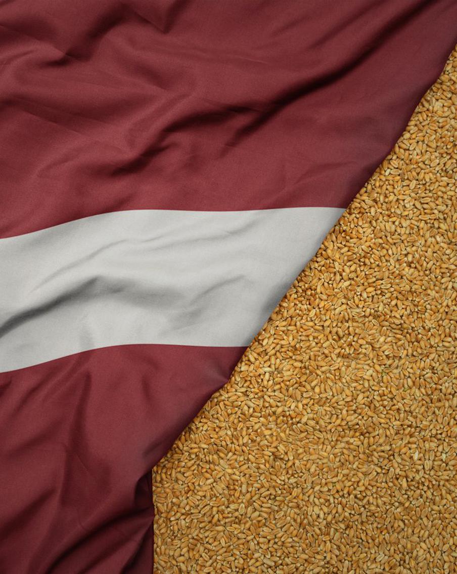 Латвия вводит запрет на ввоз товаров из России и Белоруссии. От каких товаров откажется страна с 8 марта?