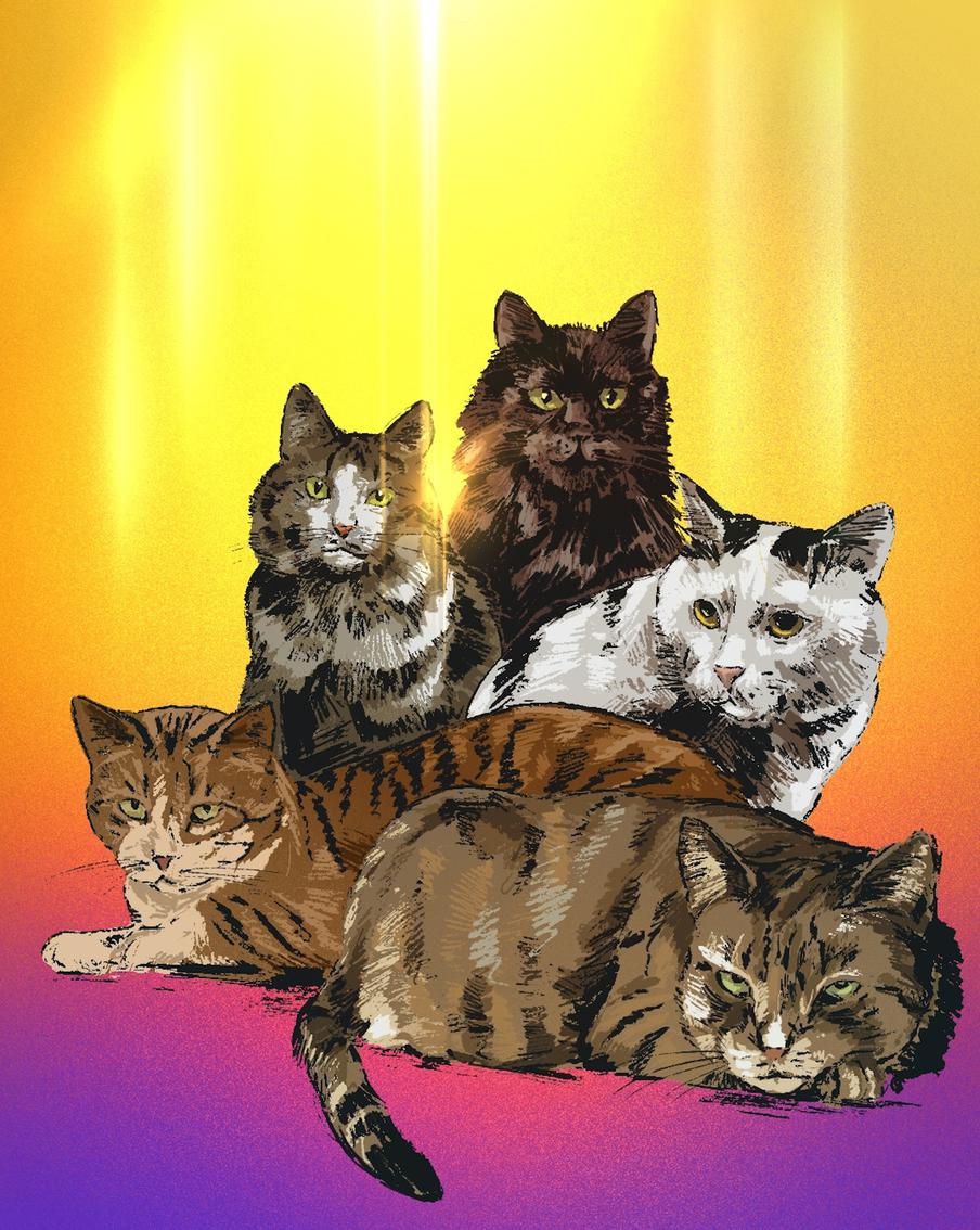 В приюте "Просто Муся" спасают очень разных котиков. А теперь приюту и самому нужна помощь