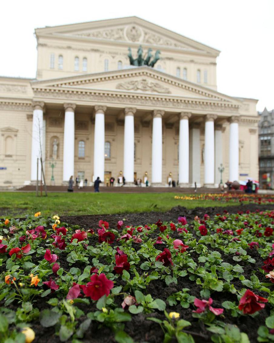 Собянин рассказал какие растения высадят в столице. Всего радовать жителей столицы будут 56 миллионов цветов