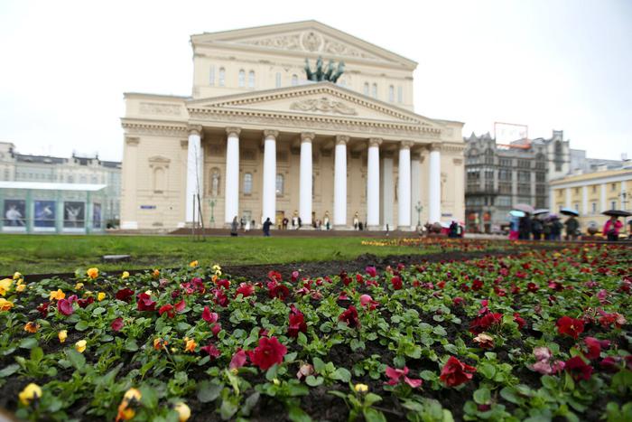 Собянин рассказал какие растения высадят в столице. Всего радовать жителей столицы будут 56 миллионов цветов