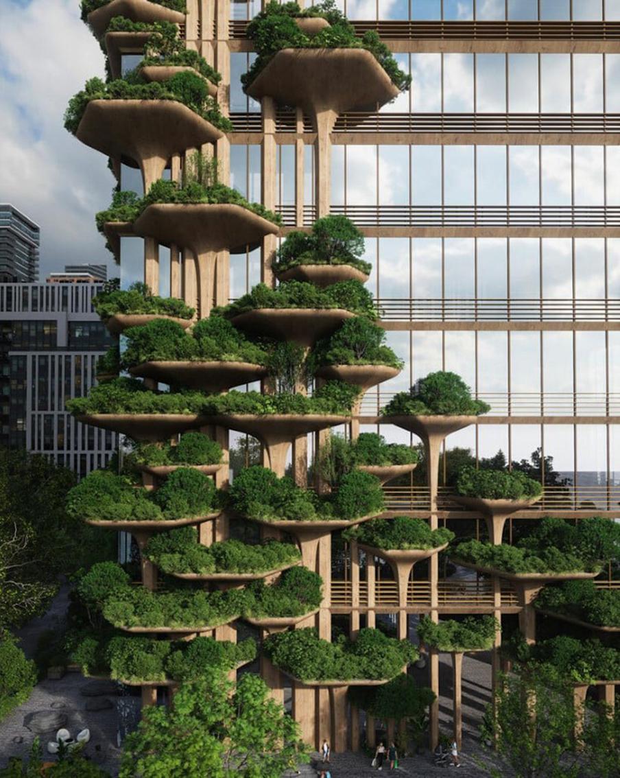 На террасах высадят разнообразные деревья.