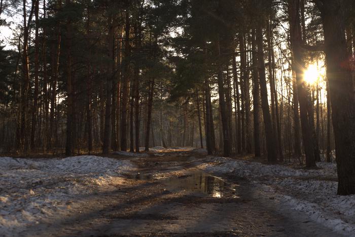 В Москве наступила метеорологическая весна
